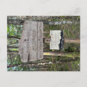 Pemigewasset Wilderness Postcard Briefkaart (Voorkant)
