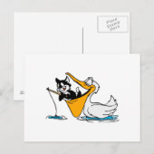 Pemini Pelican Briefkaart (Voorkant / Achterkant)