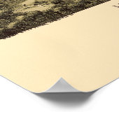 Pen Argyl, PA Panorama Map - 1894 Poster (Hoek)