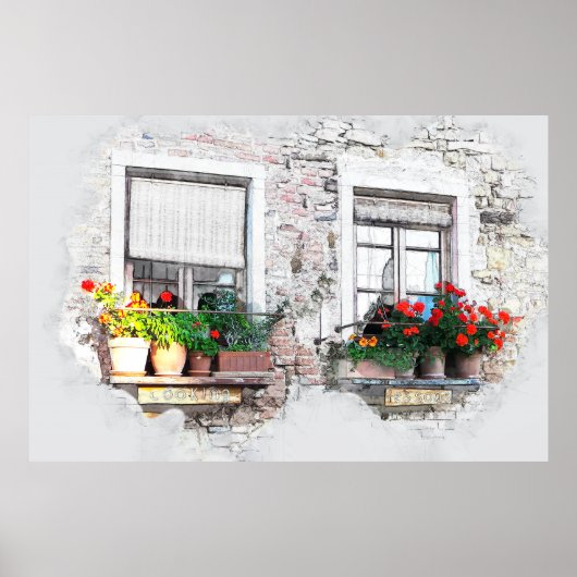 Pen en inktketch van bloemen op venstervullingen poster (Voorkant)