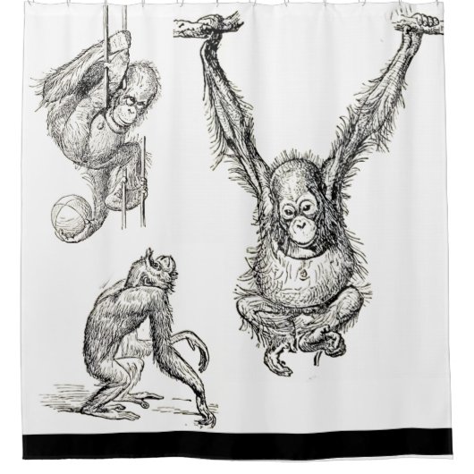 Pen/Ink Art Zoo Orangutan Kinder douchegordijn (Voorkant)