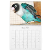 Pence-Pico-lovevogels Kalender (Mar 2027)