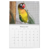 Pence-Pico-lovevogels Kalender (Feb 2027)