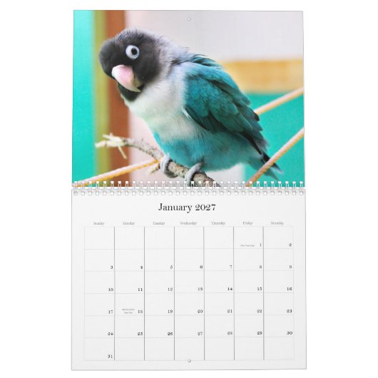 Pence-Pico-lovevogels Kalender (Jan 2027)