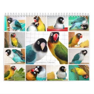 Pence-Pico-lovevogels Kalender