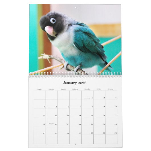 Pence-Pico-lovevogels Kalender (Jan 2026)
