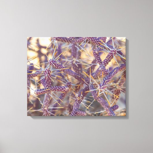 Pencil Cholla Canvas Afdruk (Voorkant)