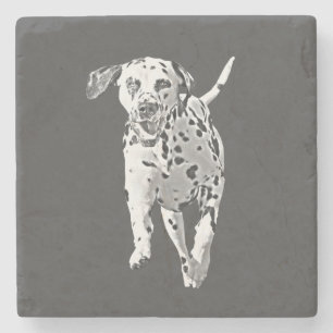 Pencil Dalmatian Marble Stone Onderzetter