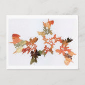 Pencil Shavings Briefkaart (Voorkant)