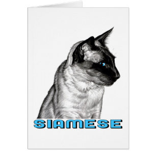 Pencil Siamese