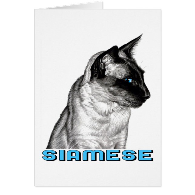 Pencil Siamese (Voorkant)