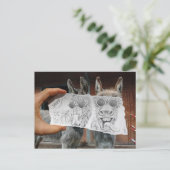 Pencil Vs Camera - Crazy Donkeys Briefkaart (Staand voorkant)