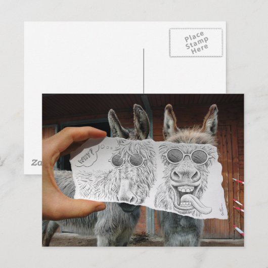 Pencil Vs Camera - Crazy Donkeys Briefkaart (Voorkant / Achterkant)