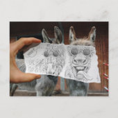Pencil Vs Camera - Crazy Donkeys Briefkaart (Voorkant)