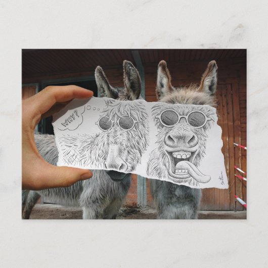 Pencil Vs Camera - Crazy Donkeys Briefkaart (Voorkant)