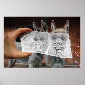 Pencil Vs Camera - Crazy Donkeys Poster (Voorkant)