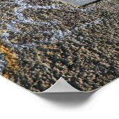 Pencil Vs Camera - Home Poster (Hoek)