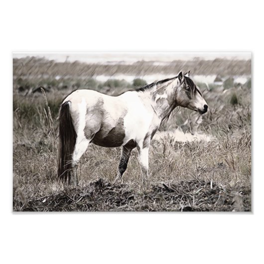Pencile stijl Paard Foto Afdruk (Voorkant)