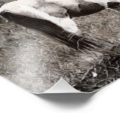 Pencile stijl Paard Foto Afdruk (Hoek)