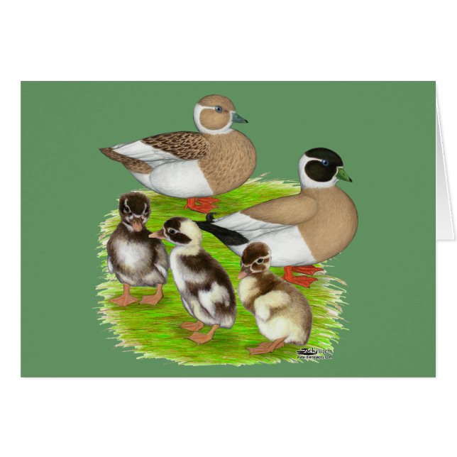 Penciled Call Duck Familie (Voorkant Horizontaal)