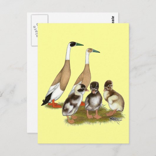 Penciled Runner Duck Family Briefkaart (Voorkant / Achterkant)