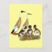 Penciled Runner Duck Family Briefkaart (Voorkant)