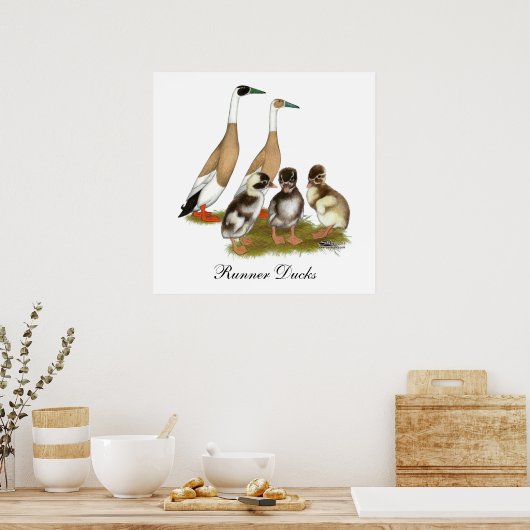 Penciled Runner Duck Family Poster (Keuken)