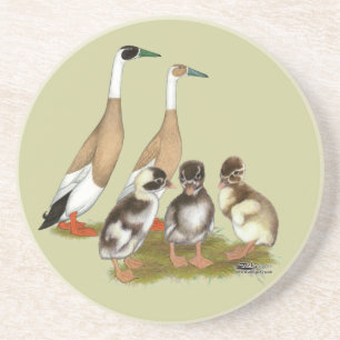 Penciled Runner Duck Family Zandsteen Onderzetter