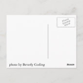 Pend Oreille Lake, North Idaho Briefkaart (Achterkant)