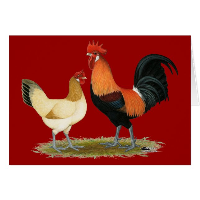 Penedesenca Chickens (Voorkant Horizontaal)