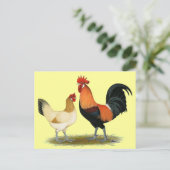 Penedesenca Chickens Briefkaart (Staand voorkant)