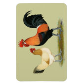 Penedesenca Chickens Magneet (Verticaal)