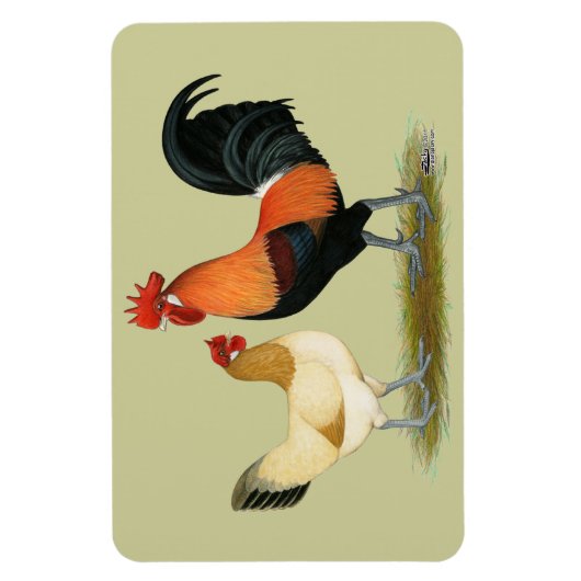 Penedesenca Chickens Magneet (Verticaal)