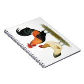 Penedesenca Chickens Notitieboek (Rechterzijde)