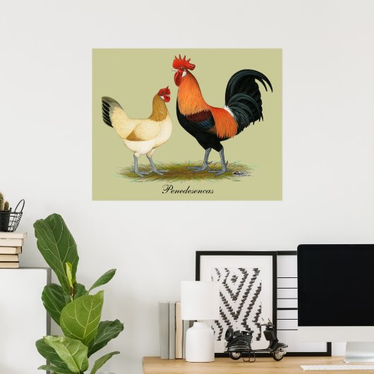 Penedesenca Chickens Poster (Thuiskantoor)