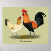 Penedesenca Chickens Poster (Voorkant)