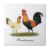 Penedesenca Chickens Tegeltje (Voorkant)