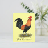 Penedesenca Rooster Briefkaart (Staand voorkant)