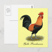 Penedesenca Rooster Briefkaart (Voorkant / Achterkant)