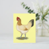 Penedesenca: Wheaten Hen Briefkaart (Staand voorkant)