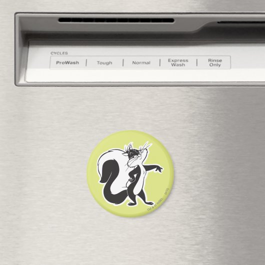 Penelope Diva Magneet (Insitu (Vaatwasser))