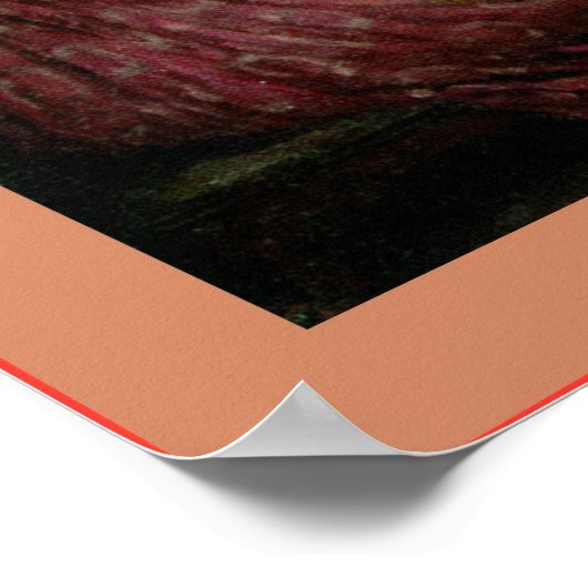 Penelope en de gitaren poster (Hoek)