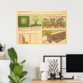 penetrerende straling poster (Thuiskantoor)