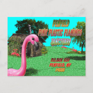 penfield roze plastic flamingo sanctie ansichtkaar briefkaart