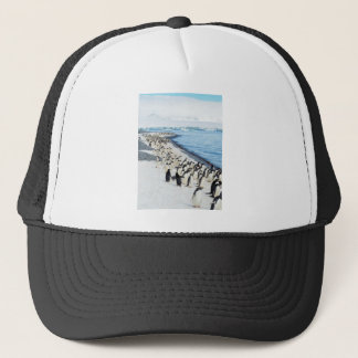 Pengiuns op een strand trucker pet