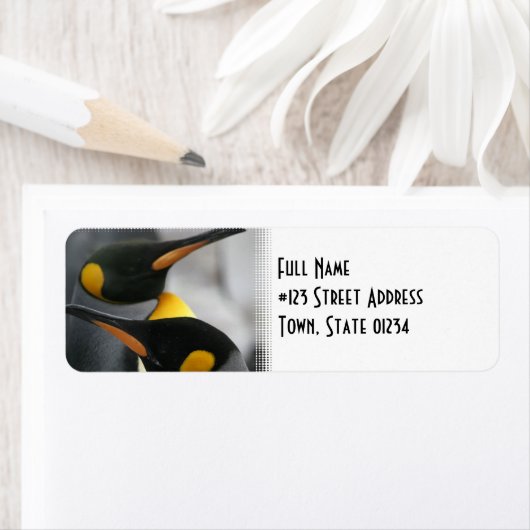 Pengiuns retour adres label (Insitu)