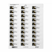 Pengiuns retour adres label (Full Sheet)