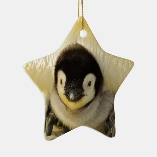 Penguin baby keramisch ornament (Rechts)