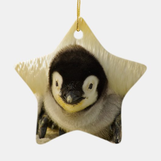 Penguin baby keramisch ornament (Voorkant)