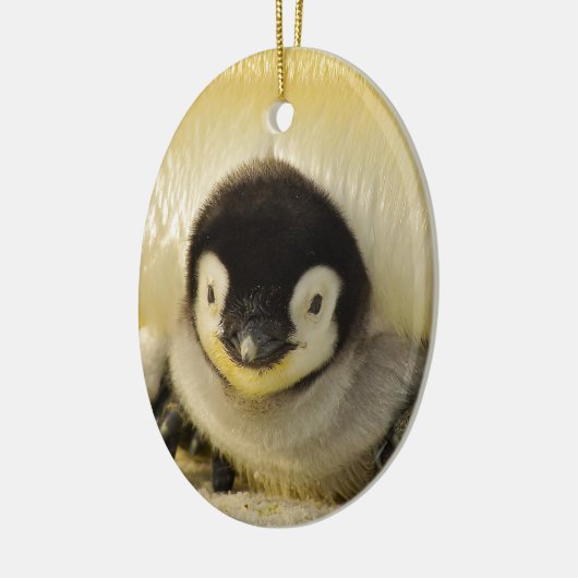 Penguin baby keramisch ornament (Links)